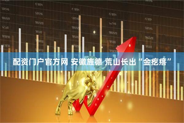 配资门户官方网 安徽旌德 荒山长出“金疙瘩”